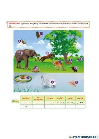 Desplazamiento de los animales