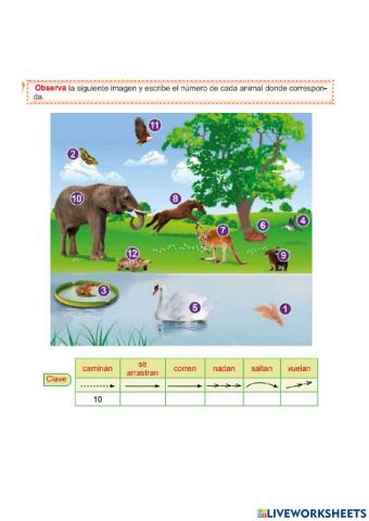 Desplazamiento de los animales