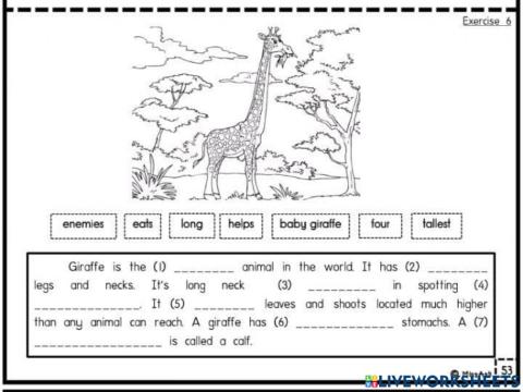 Giraffe by teacher ash