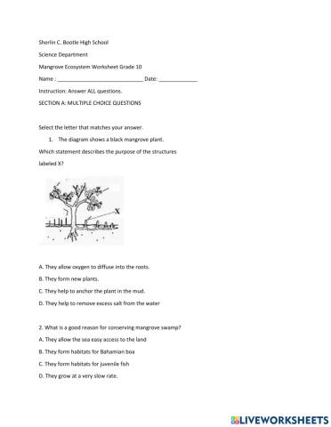 Mangrove Worksheet