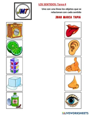 Los Sentidos: Tarea 4. Correspondencia