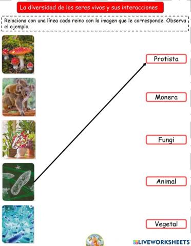 Reinos de los seres humanos