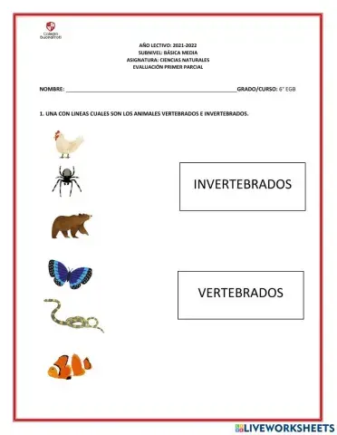 Evaluacion del primer parcial 6 egb