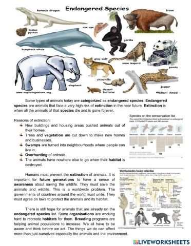 Endangered Animals