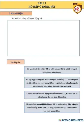 Bài 17 sinh học 11