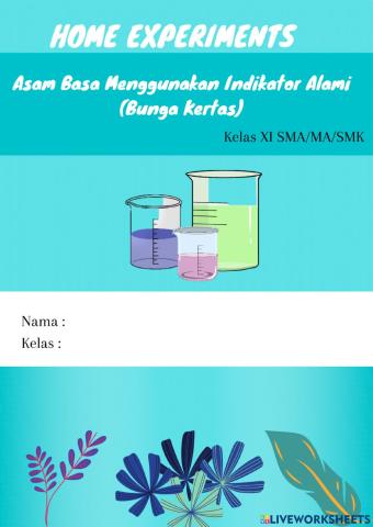 Home Experiments Asam Basa Menggunakan Indikator Alami