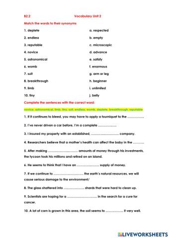 B2.2 Unit 2 Vocabulary
