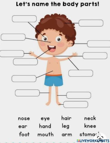 Parts of Body