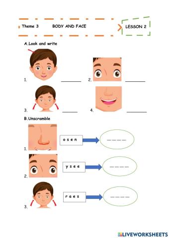 Theme 3 body and face-lesson 2