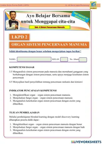 Organ Sistem Pencernaan Manusia