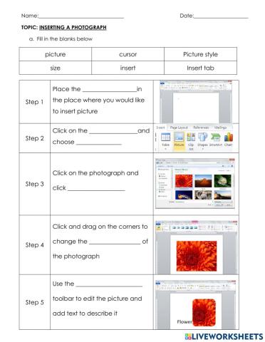Adding photograph in MS Word