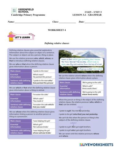 Unit 3: Defining Relative Clauses 