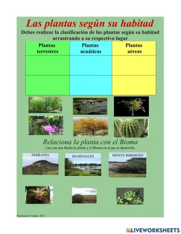 Clasificación de plantas