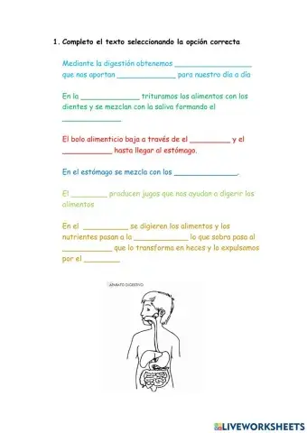 Proceso de digestión