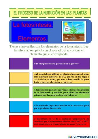 La fotosíntesis . elementos