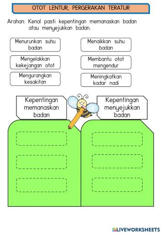 Otot Lentur, Pergerakan Teratur