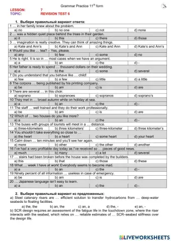 L7 Revision Test 6 (11th form, short)