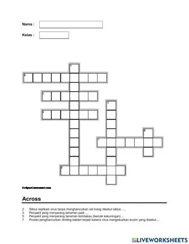 Reproduksi dan Peranan Virus Bagi Kehidupan