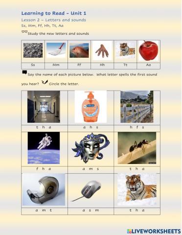 Literacy unit 1 lesson 2