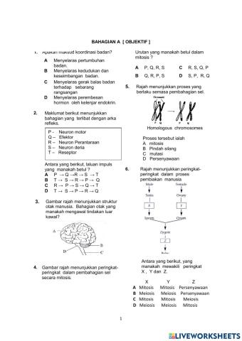 Latihan Objektif Sains Tingkatan 5