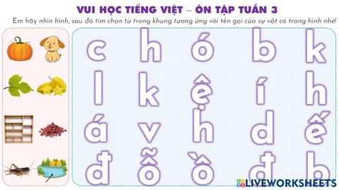 Ôn tập Tiếng Việt tuần 3