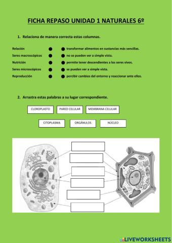 Una gran variedad de seres vivos