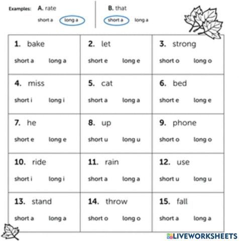Short and long vowel sound