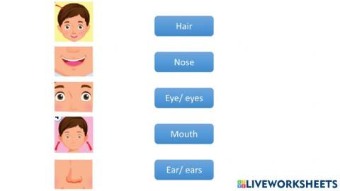 Mathching - Body and face