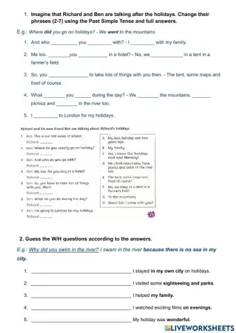 The past simple tense. Questions.