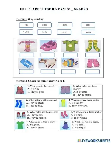 Unit 7: Are these his pants?