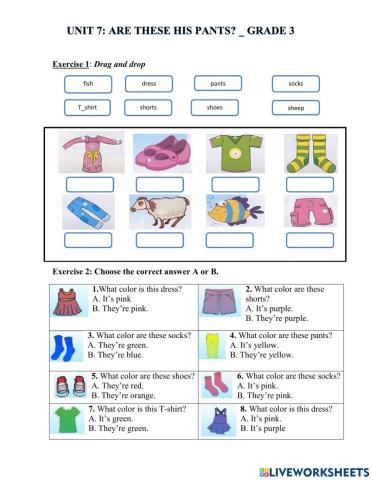 Unit 7: Are these his pants?