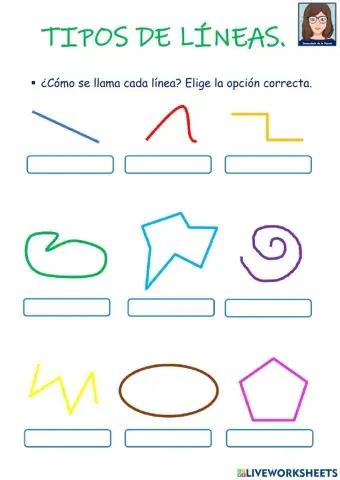 MATE 2º Tipos de líneas.
