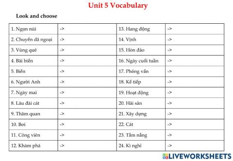 Vocabulary (TA5)