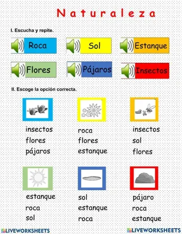 Escoge la opción correcta