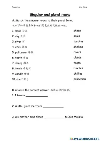 Singular and plural nouns