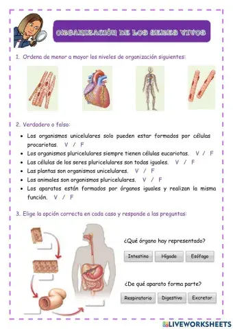 Organización de los seres vivos