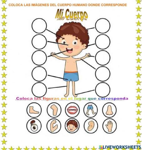 Partes del cuerpo