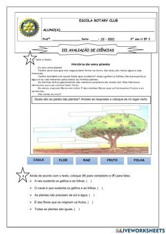 Iii avaliação de ciências