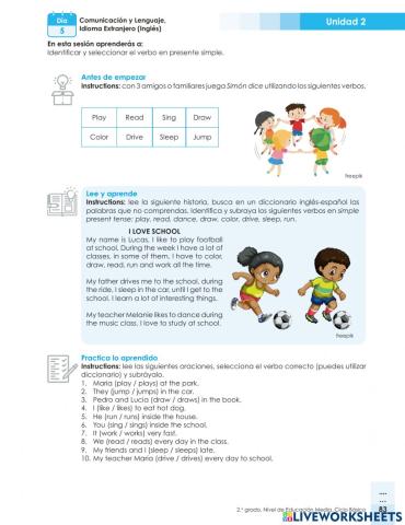 Verbs in Present Simple