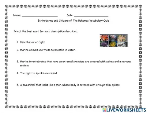 Citizens of The Bahamas and Ecinoderms Vocabulary Quiz