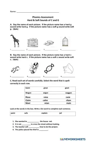 Hard and soft c and g quiz