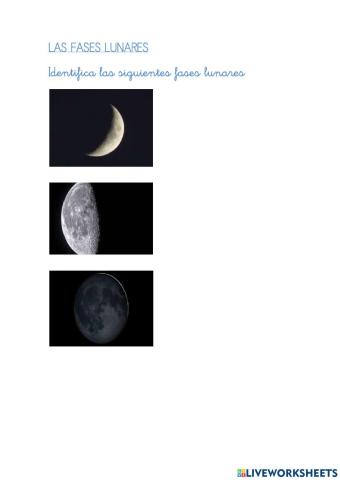 Las fases lunares