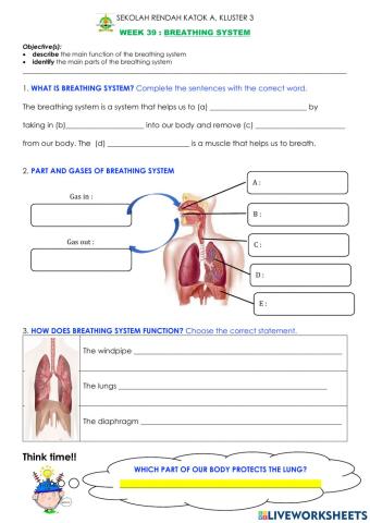 Breathing system (G)