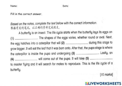 Life cycle of a butterfly