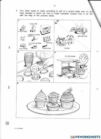 Procedural Writing Prompt