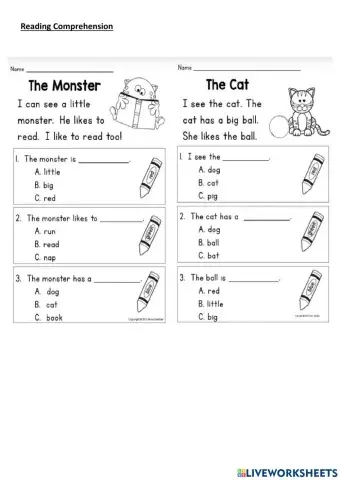 Reading comprehension worksheet