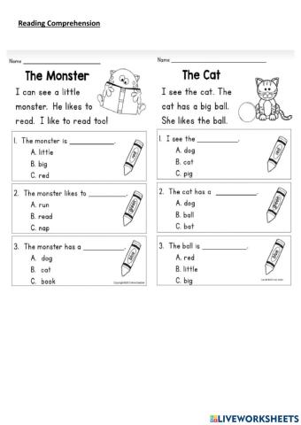 Reading comprehension worksheet