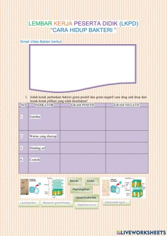 Cara hidup Bkateri .
