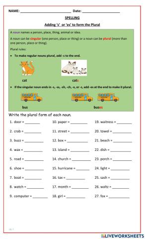 Adding ‘s’ or 'es' to form the Plural