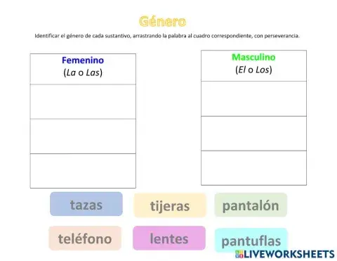 Ficha de género y número